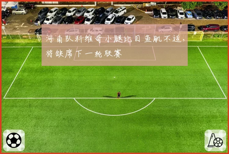 河南队科维奇小腿比目鱼肌不适，将缺席下一轮联赛