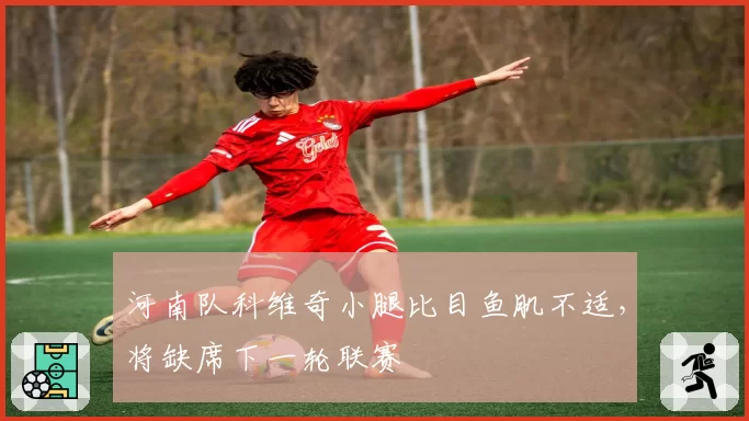 河南队科维奇小腿比目鱼肌不适,将缺席下一轮联赛